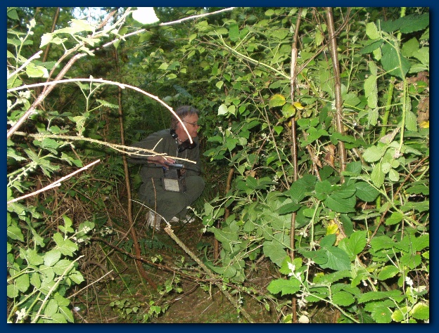 600x449 pixels (216K)